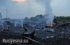 Донецкая республика опровергла ложь о похищении тел с упавшего авиалайнера, ОБСЕ работает на месте крушения (видео)