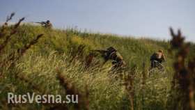 Утренняя сводка с фронтов ЛНР и ДНР: идут бои около Луганска, Северодонецка и Лисичанска