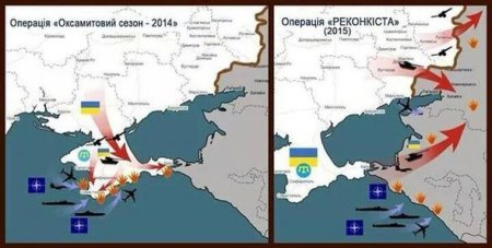 Украинцы рисуют карты вторжения в Крым и на Кубань при поддержке НАТО