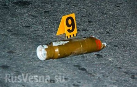 При обстреле Бердянского СБУ граната попала в дерево (фото лента)