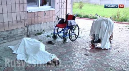 Материалы для трибунала: Луганск, расстрелянный дом престарелых, слезы и кровь (фото/видео 18+)