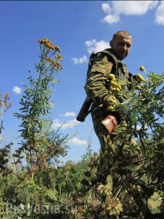 Сводка из Шахтёрска: спецназ Стрелкова защищает город