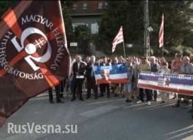 Украинские венгры не хотят воевать под Донецком (видео/фото)