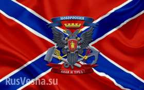 УкроСМИ лгут: шансы карателей разгромить армию Новороссии равны нулю (видео)