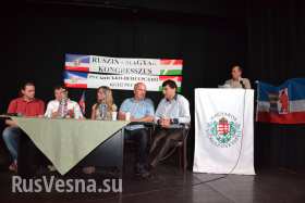 Венгерская и русинская общины Закарпатья объединяют свои усилия в борьбе за федерализацию