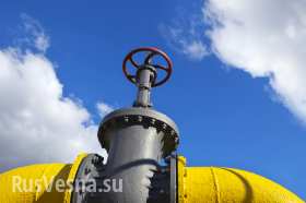 Запасливая Украина: откуда газ в хранилищах?