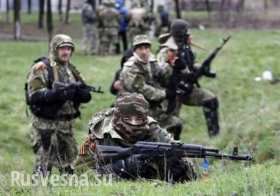 Под Иловайском бойцы армии ДНР перехватили колонну снабжения нацгвардии