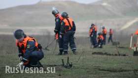 Саперы из РФ обезвредили в Сербии почти 300 боеприпасов в этом году