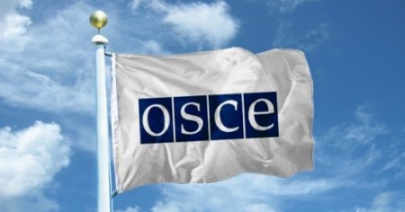 ОБСЕ: Вооружённые силы не пересекают российско-украинскую границу