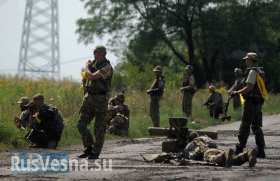 Большие неприятности карательных батальонов: Киев сливает своих боевиков