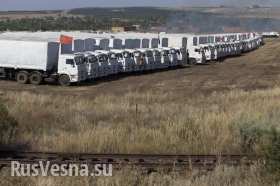 «Красный крест» не планирует участвовать в подготовке третьего гуманитарного конвоя на Донбасс