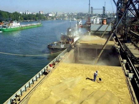 Из Мариуполя экстренно вывозят стратегические запасы зерна