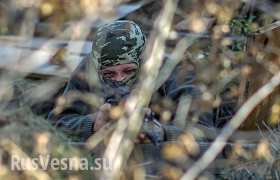 Сводка: каратели продолжают осуществлять наращивание сил и средств на Донецком, Луганском и Мариупольском направлениях