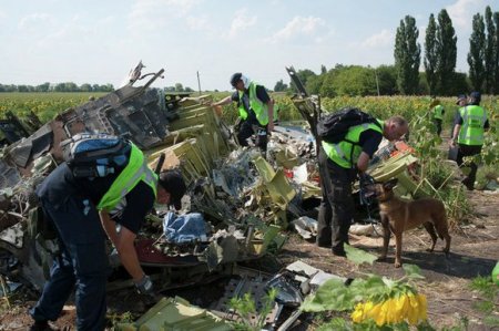 Украинские поисковики обследуют место крушения МН17