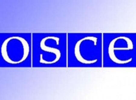 СМИ: ОБСЕ отказывается использовать на Украине немецкие военные дроны