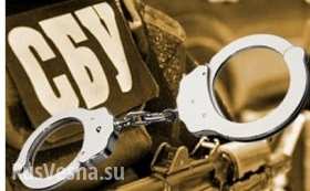 СБУ открыла уголовные дела депутатов «КПУ» и «ПР» за сепаратизм