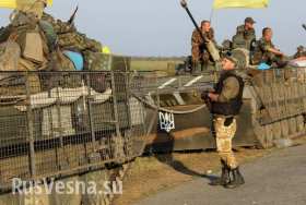 Никишино, необычное "сафари" - охота на украинский танк и БМП