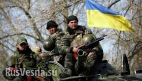 Сводка с фронтов Новороссии от СНБО Украины