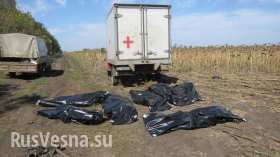 Шуфрич: в войне на Донбассе погибло 14 000 украинских военных