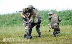 Военная полиция ДНР занимается наведением порядка в прифронтовой зоне (видео)