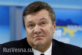 Янукович отверг обвинения в причастности к финансированию ДНР и ЛНР