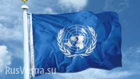 ООН сотрудничает с хунтой и не желает сотрудничать с ДНР, нарушая собственный устав