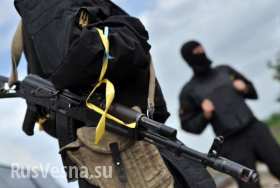 Украинских полицейских будут обучать инструкторы из США