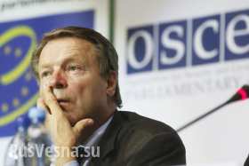 В ОБСЕ не верят информации из Киева и говорят о введении миротворцев на Донбасс