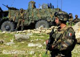Французы дезертируют из армии, чтобы воевать за Новороссию