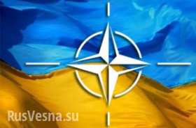 Военный эксперт И.Ю.Коротченко: США и НАТО способствуют восстановлению военного потенциала Украины и являются одной из сторон вооруженного конфликта