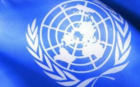 СБ ООН не смог согласовать текст заявления по ситуации вокруг Мариуполя