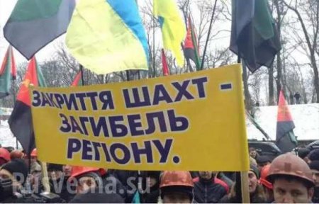 В Киеве митинги: шахтеры требуют к ответу Яценюка, а киевляне — Кличко (ВИДЕО, ФОТО)