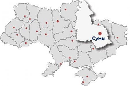 На Украине 11 детей пострадали в результате столкновения школьного автобуса с грузовиком