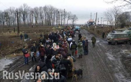 В Енакиево прибыли 1,5 тыс. беженцев из Углегорска