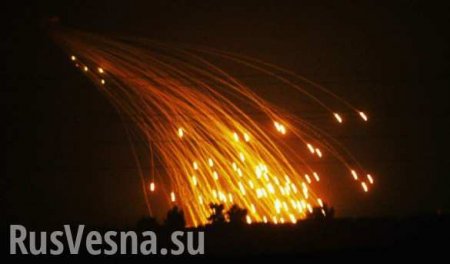 Украинские военные признались в применении фосфорных бомб (ВИДЕО)