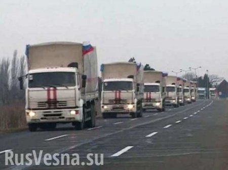 15 февраля в Донецкую Народную Республику прибывает четырнадцатый гуманитарный конвой из России
