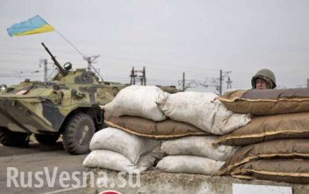 Блокада по-киевски: боевики батальона МВД «Киев-2» вымогают деньги за проезд через блокпосты — 2 гривны за 1 кг груза