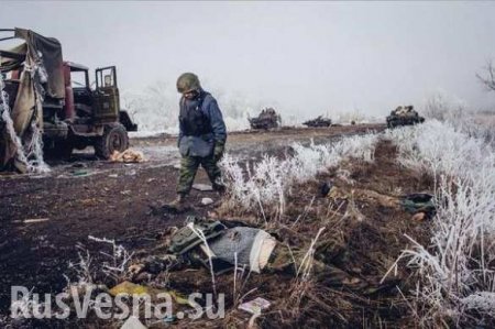 Командованию ВСУ не хватает мозгов и смелости, — украинские эксперты о провале в Дебальцево