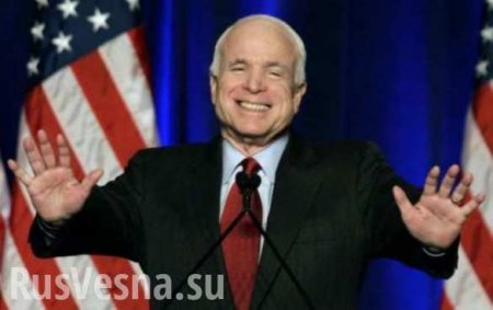 Если бы Маккейн сидел дома, многих жертв на Украине удалось избежать, — экс-конгрессмен США