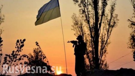 Жители Донбасса репортеру «Би-Би-Си»: украинские военные бомбят без разбора