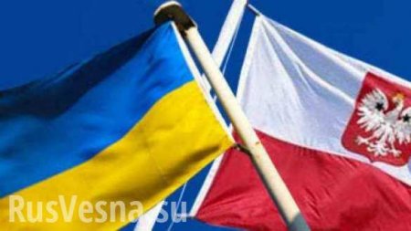 Польские социологи: Украинские мигранты хотят остаться в Польше надолго, но жалуются на этническую дискриминацию