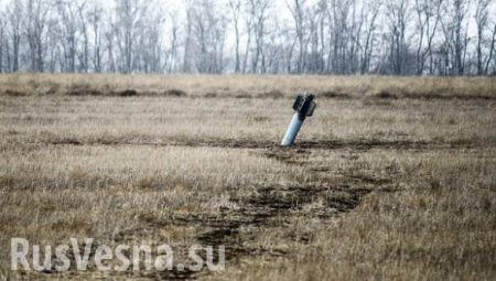 Перед посевной кампанией в ДНР предстоит разминировать 250 гектаров сельхозугодий