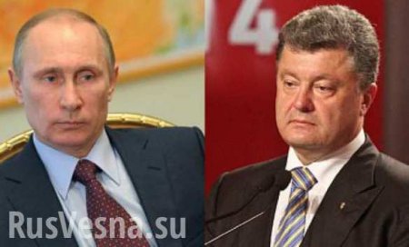 П. Порошенко сообщил, что трижды по 2 часа общался с В. Путиным после начала режима прекращения огня