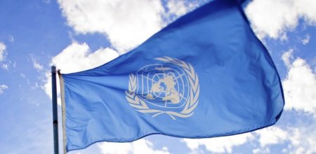 ООН признал, что по разминированию Дебальцево жители обращаются к ополченцам