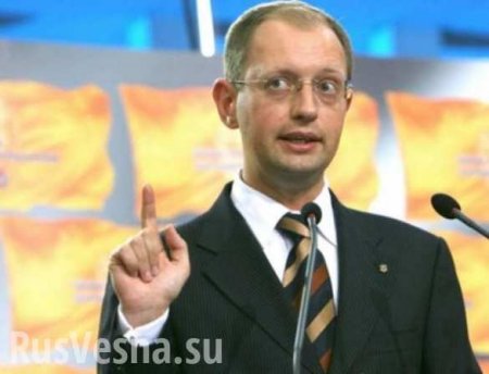 «ШОК!» — Коррупционные схемы на Украине возглавляет Яценюк, — глава Госфининспекции