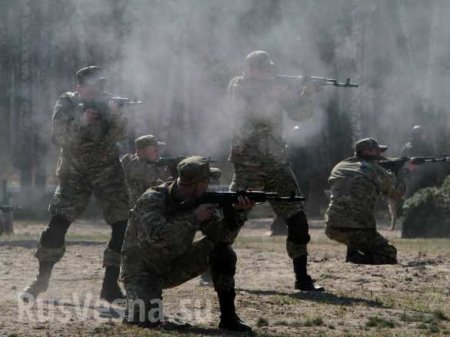 Байден поставил Порошенко «зачёт» за закон об особом статусе Донбасса и объявил о начале тренировок нацгвардейцев инструкторами США