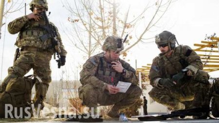 Foreign Policy: Ополченцы Донбасса заставили задуматься армию США