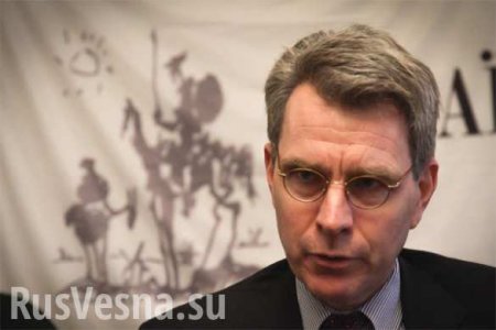 Коломойского приструнило настоящее руководство Украины — олигарху позвонил посол США Дж. Пайетт
