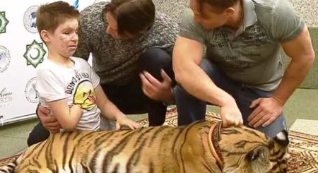 Донбасских детей проходящих лечение и реабилитацию в Москве познакомили с живым тигром