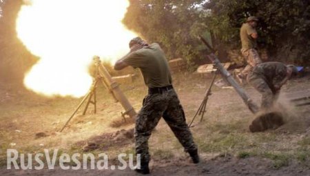 Ополчение ЛНР: За сутки позиции ЛНР были обстреляны 89 раз, БПЛА и ДРГ ВСУ активно вели разведку